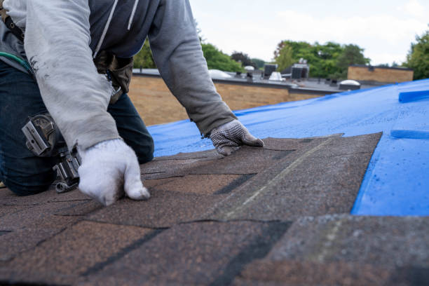 Gutter Installation and Roofing in Naples, TX